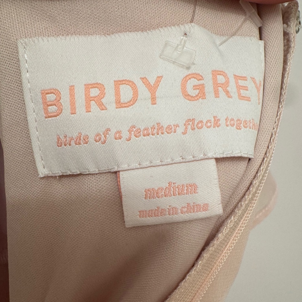 NEW Birdy Grey JULES DRESS CHIFFON DUSTY ROSE MEDIUM NWT - Picture 7 of 11